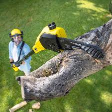 Lawn Maintenance Plans in Lake Forest, IL
