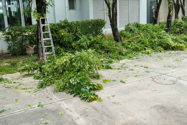 Soil Testing and Treatment in Lake Forest, IL